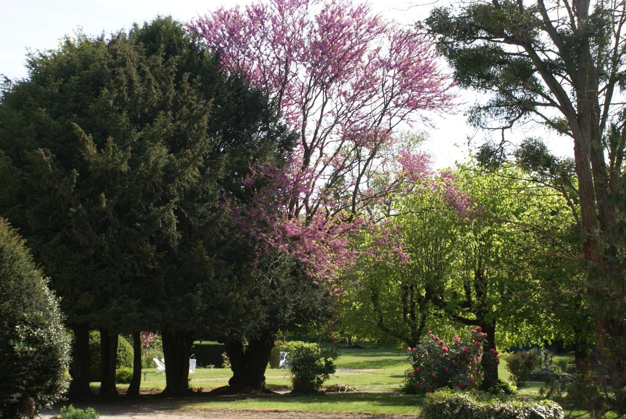 Bed and Breakfast Le Beguinage Cour-Cheverny Exterior foto